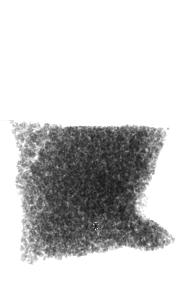 i (2)_result.png